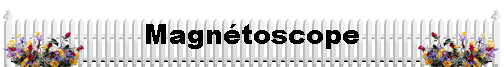  Magntoscope 